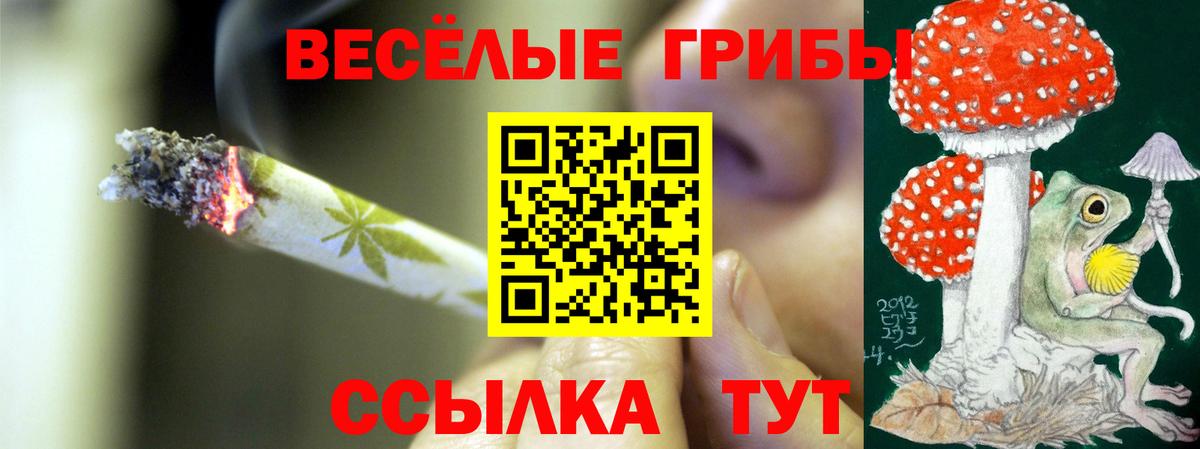 Псилоцибиновые грибы GOLDEN TEACHER  Вход с VPN  Алушта 